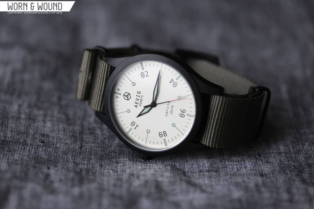AEVIG_CORVID_5