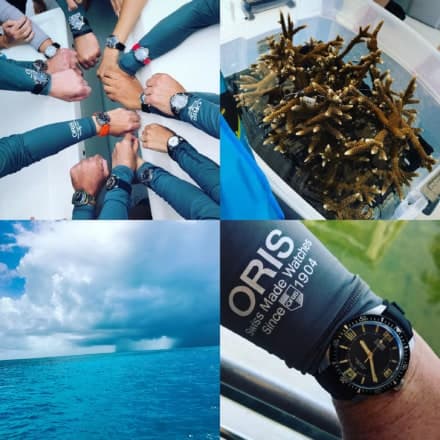 Saving the Reefs with Oris and the Aquis Staghorn Restoration