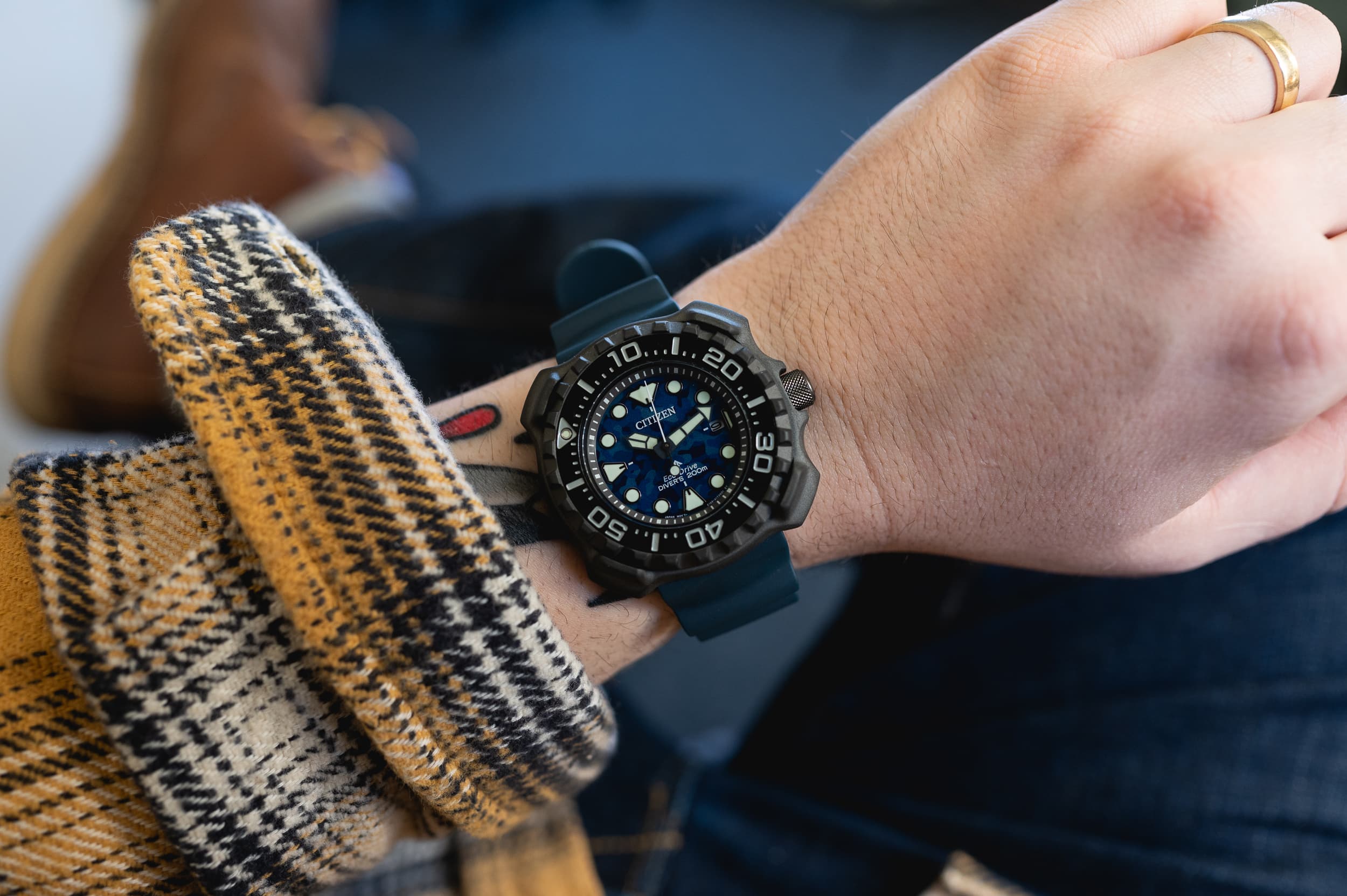 Approachable Assertive Worn Citizen Yet Review: Diver Wound The BN0227-09L & Promaster -