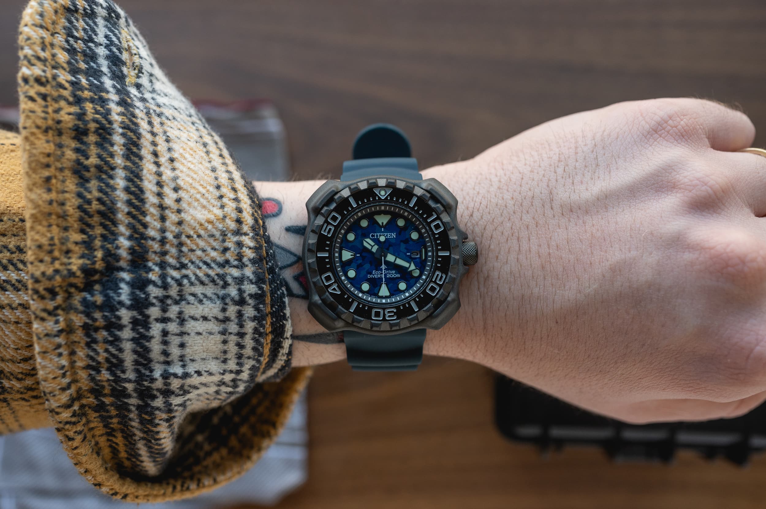 Review: The Assertive Yet Approachable Citizen Promaster Diver