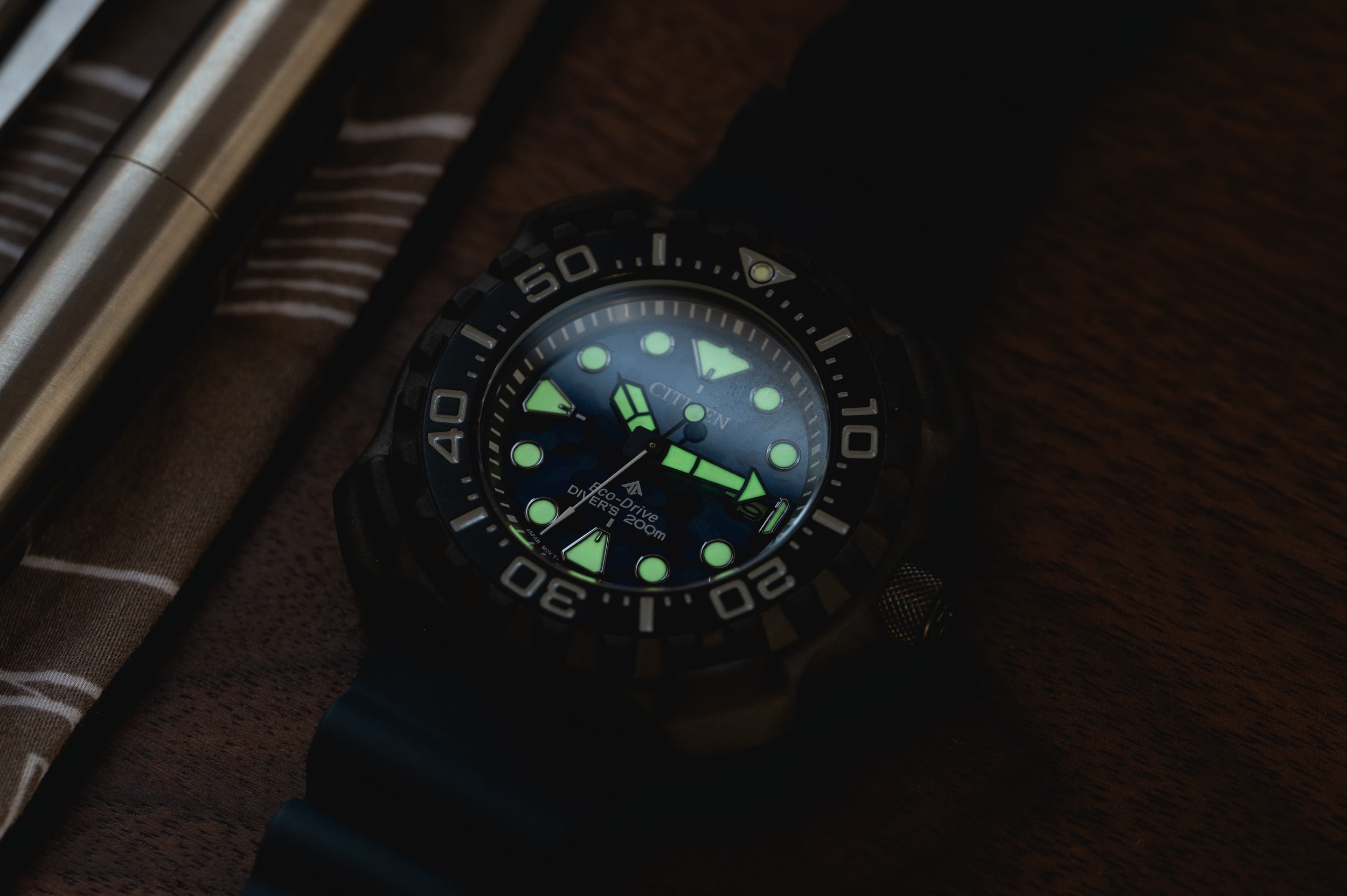 Assertive & The Wound Promaster Yet BN0227-09L Review: Citizen Approachable Worn Diver -