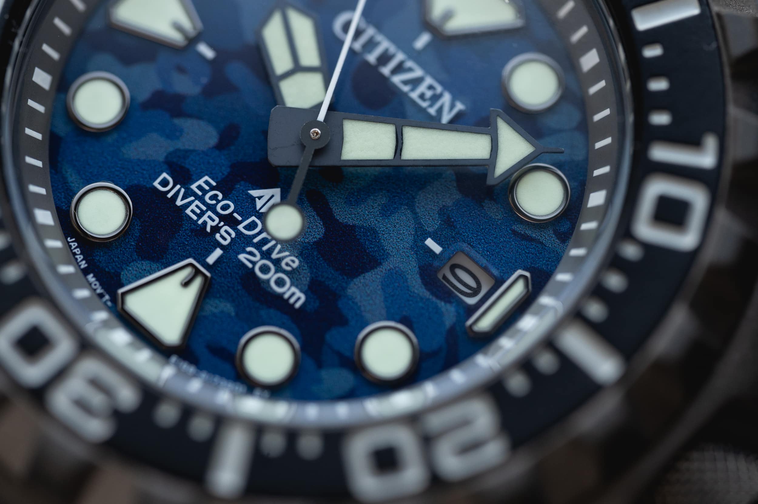 Worn Review: BN0227-09L Approachable Diver - Wound The Promaster Citizen Yet & Assertive