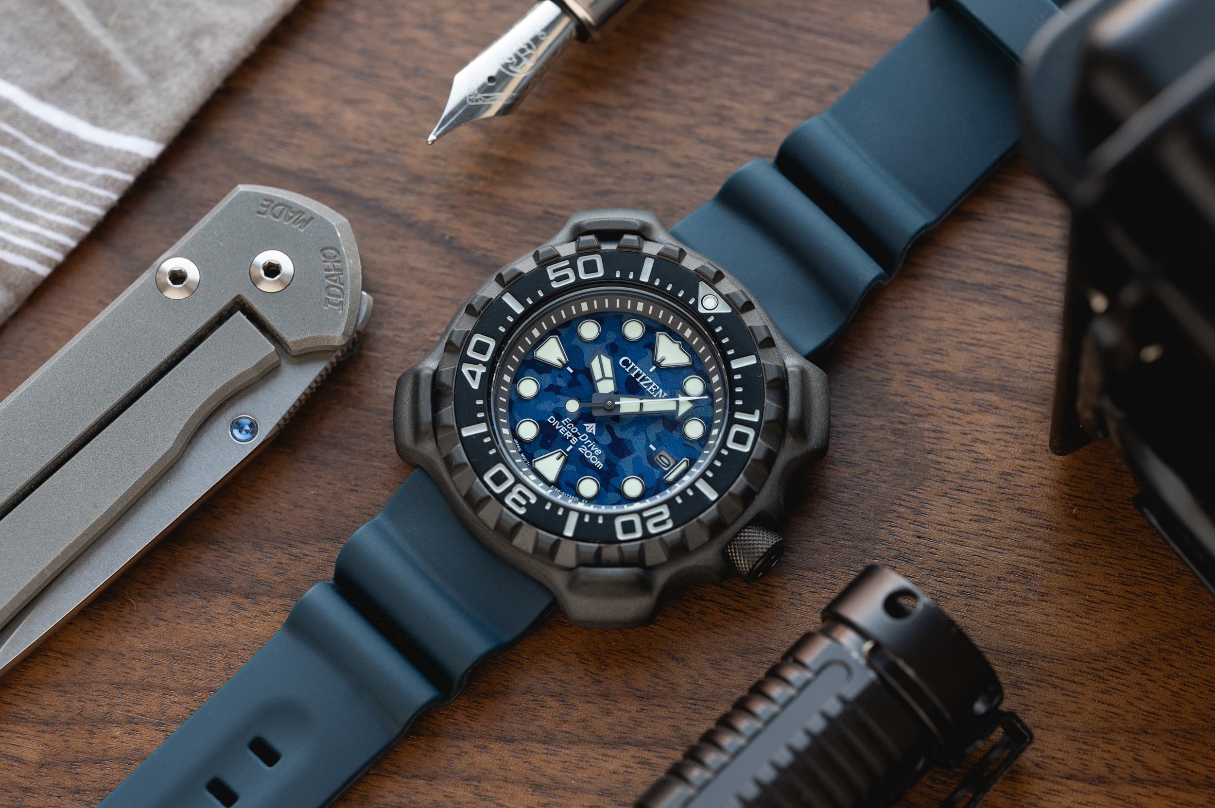 Approachable & Review: Wound Citizen The Diver Worn Promaster BN0227-09L Assertive - Yet