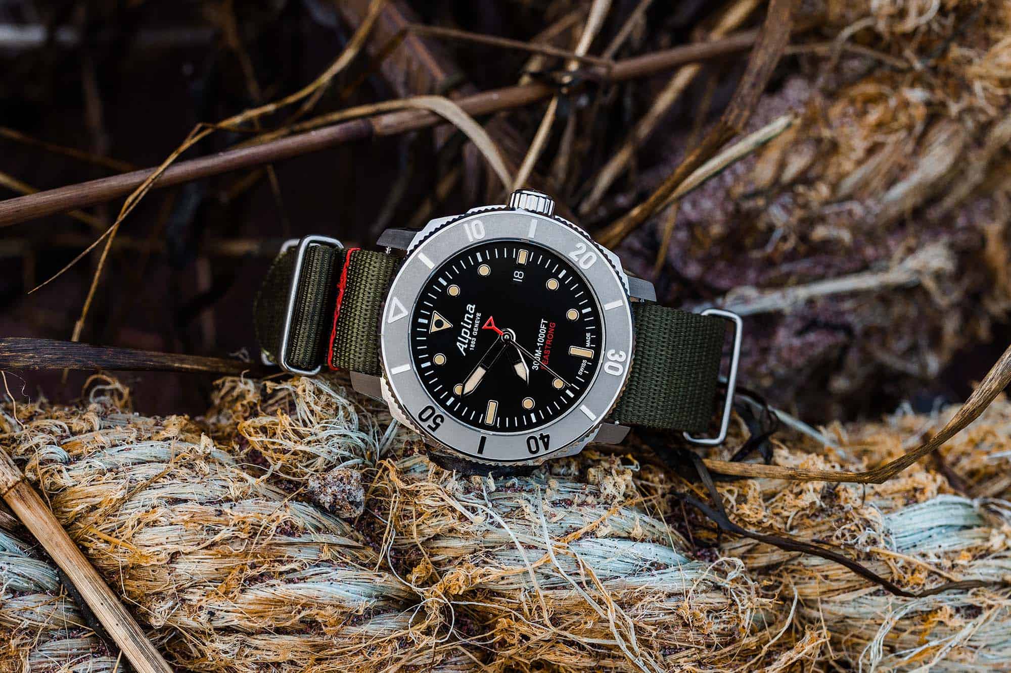 Tool/Kit: Surfcasting on Long Island's South Shore with the Recycled Alpina  Seastrong Diver 300 Automatic Calanda - Worn & Wound